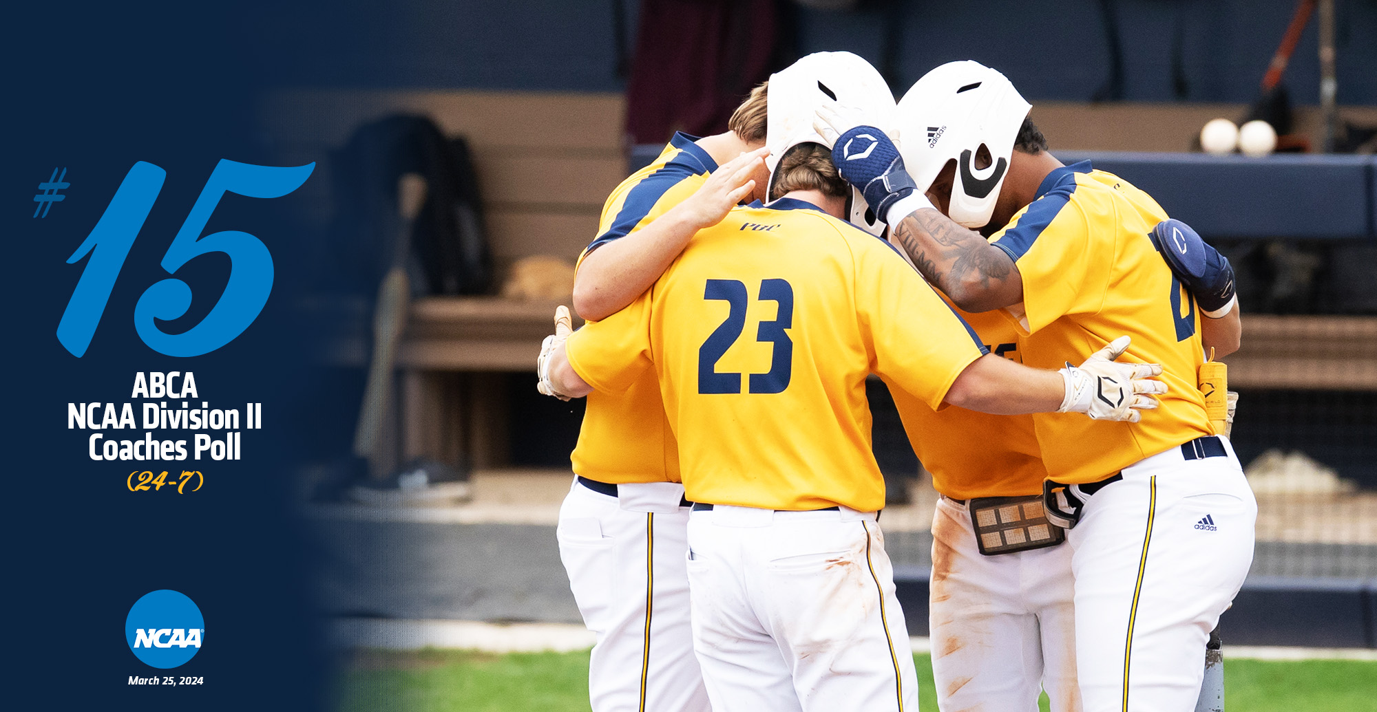 GSW Baseball Team earns highest ranking in program history - Americus ...